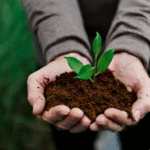 Screenshot 2025 05 18 at 18 23 32 Planting vectors photos and PSD files Free download Home