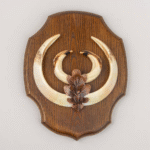 Screenshot 2025 06 11 at 20 01 55 106 225 Antler Plaque Stock Photos Pictures Royalty Free Images iStock Home