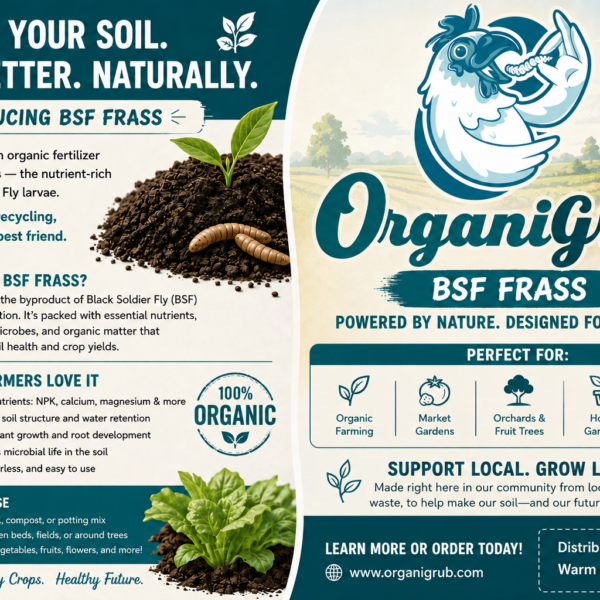 ChatGPT Image Jun 19 2026 11 05 31 AM Home